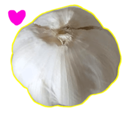 Garlic garlic sticker #15709120