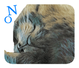 -choco cat- sticker #15710003