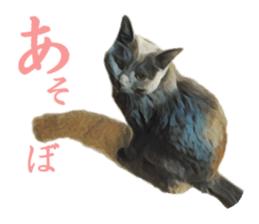 -choco cat- sticker #15710010