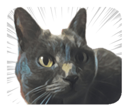 -choco cat- sticker #15710015