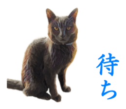 -choco cat- sticker #15710016