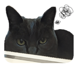 -choco cat- sticker #15710023