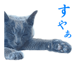 -choco cat- sticker #15710024