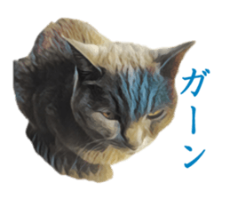 -choco cat- sticker #15710029