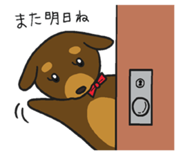 Modest dog4 sticker #15710857