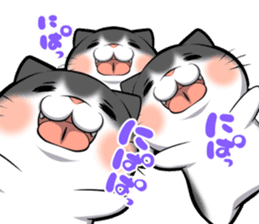 catple2(black cat) sticker #15712232