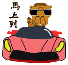 HAPPY CAMEL sticker #15712466