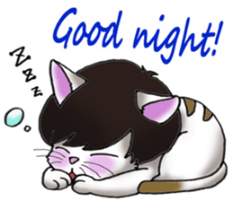 Cat with mush-hair wig sticker #15719012