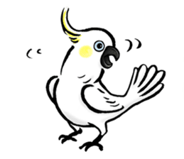 Cockatoo's way of life sticker #15720682