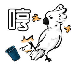 Cockatoo's way of life sticker #15720685
