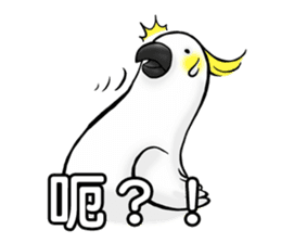 Cockatoo's way of life sticker #15720692