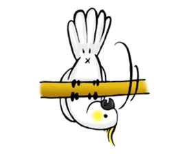 Cockatoo's way of life sticker #15720696