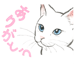 Dream cat 6 white sticker #15721698