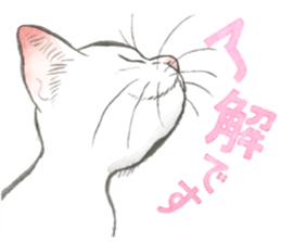 Dream cat 6 white sticker #15721700