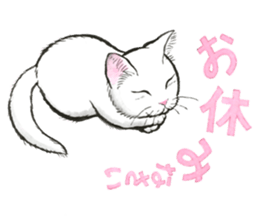 Dream cat 6 white sticker #15721713