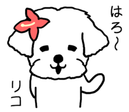Riko dog sticker #15723842