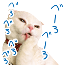 Sticker of Pathetic face Scottish Fold 3 sticker #15724920