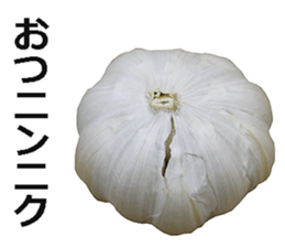 Garlic! sticker #15725851