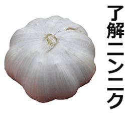 Garlic! sticker #15725855