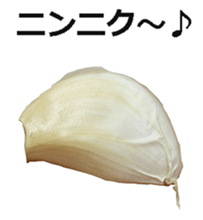 Garlic! sticker #15725872