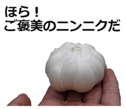 Garlic! sticker #15725873