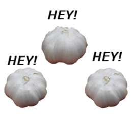 Garlic! sticker #15725876