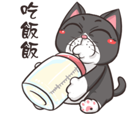 CAT BOOS 2-Cat baby sticker #15726707