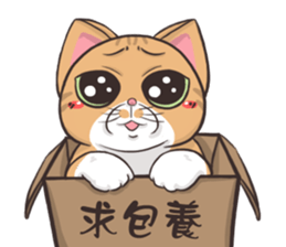 CAT BOOS 2-Cat baby sticker #15726716