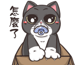 CAT BOOS 2-Cat baby sticker #15726720