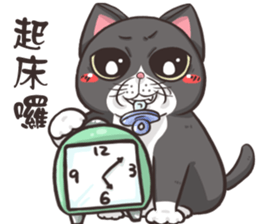 CAT BOOS 2-Cat baby sticker #15726724