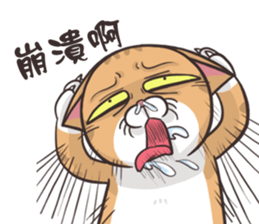 CAT BOOS 2-Cat baby sticker #15726725