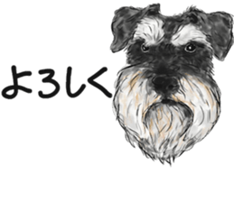 Miniature Schaunuzer - by Rintarou sticker #15726822