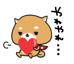 The lovely Japanese Shiba inu sticker #15728374