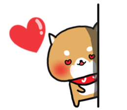 The lovely Japanese Shiba inu sticker #15728378