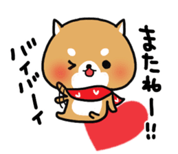 The lovely Japanese Shiba inu sticker #15728400