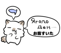 Russian language sticker Polar bear&cat1 sticker #15729958