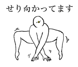 White bird's name is Seri sticker #15730327