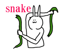 DFR Paradise sticker #15731466