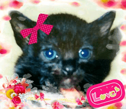 Lovely Cats #5 sticker #15734202