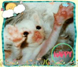 Lovely Cats #5 sticker #15734203