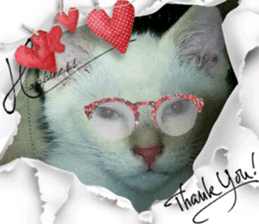 Lovely Cats #5 sticker #15734205