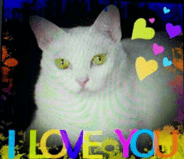 Lovely Cats #5 sticker #15734206