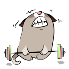 Grumpy Cute Cat sticker #15734568