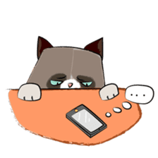 Grumpy Cute Cat sticker #15734570