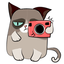 Grumpy Cute Cat sticker #15734572