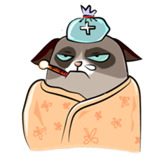 Grumpy Cute Cat sticker #15734575