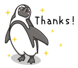 African penguin sticker #15735394