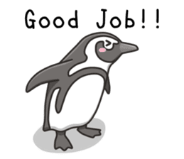 African penguin sticker #15735411
