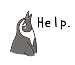 African penguin sticker #15735414