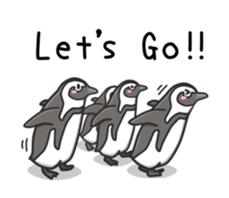 African penguin sticker #15735422